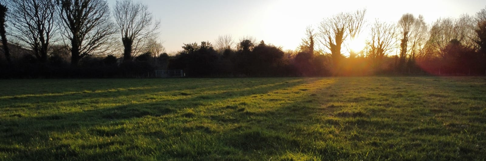 Sunlight over field in Ireland