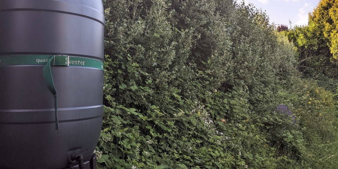 Rainwater collection tank in a sunny garden in Ireland